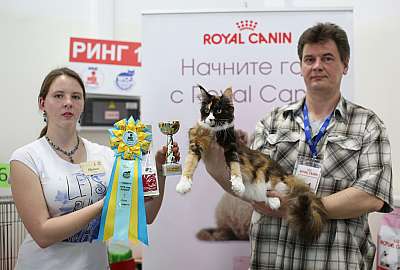 �������� ����� 11-12 ������ 2015 WCF-����� 3-21-169A4327 copy.jpg